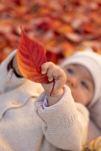 baby-detailaufnahme-fuerth Baby hält ein Herbstblatt auf Wiese.