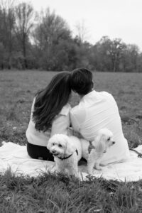 familien-shooting-fuerth Pärchen sitzt auf Decke auf Wiese in Fürth, zwei Hunde stehen daneben.